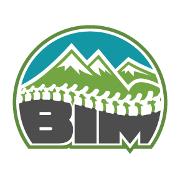 Back In Motion Chiropractic Logo